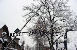 Auschwitz Work Set Free