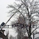 Auschwitz Work Set Free